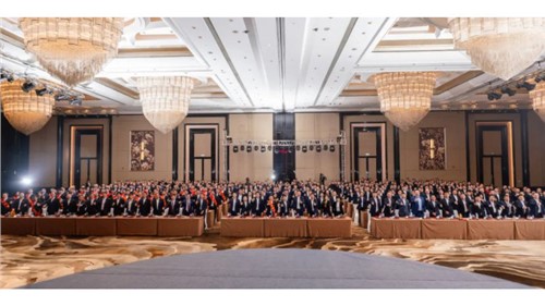 逆风升维 破浪启新｜中伟股份2024年总结表彰暨2025年动员大会隆重举行