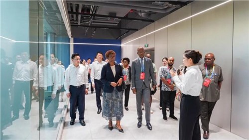 共谋中非新发展丨第四届中非经贸博览会非洲外宾代表团考察中伟